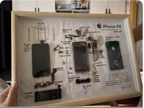 新興職業探秘 玩偶修復師、手機入殮師和貓糧品嘗師月入過萬的秘密